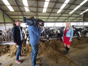 In de stal van zuivelboerderij De Gelder in Tijnje. Verslaggever Tom van ’t Einde interviewt Frau Wietske, cameraman Ted Kraamer registreert.