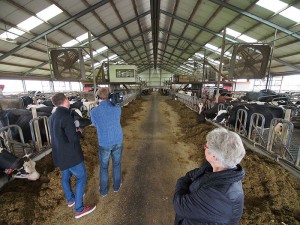Jenny Vogel van De Gelder kijkt toe hoe enkele van haar 250 koeien worden gefilmd.