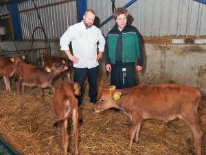 Chefkok Willem Schaafsma, boerenzoon uit Driezum, en veehouder Steven van der Zee in de stal met Jersey kalfjes. Schaafsma, eigenaar van restaurant Eindeloos in Leeuwarden, werd maandag 27 oktober 2014 uitgeroepen tot Meest Markante Horecaondernemer in de regio Friesland 2014-2015.