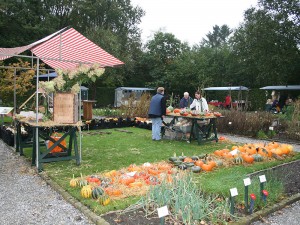 Markt in de Kloostertuin van De kruidhof.