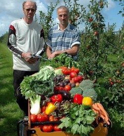 Ekoboerderij “De Koarte Warren”