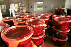 Groenhof ambachtelijke cranberry producten 